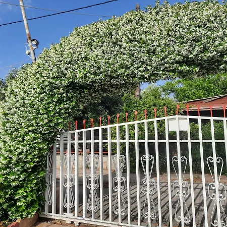 Casa Olena Holiday home